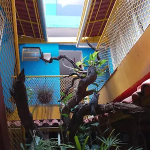 Casa de hóspedes Angel Locacao De Quartos